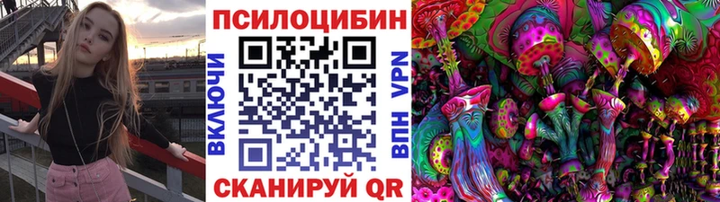 Псилоцибиновые грибы Psilocybe  купить закладку  Енисейск 